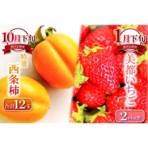 ふるさと納税 E-635 益田市四季の旬果定期...の詳細画像4