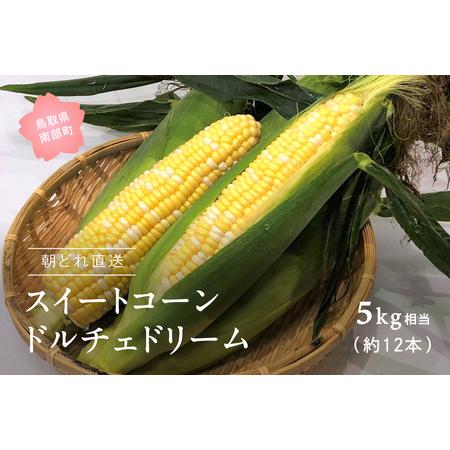 ふるさと納税 南部町産 朝採れスイートコーン（バイカラー種）5kg箱 2026年収穫分＜数量限定＞【...
