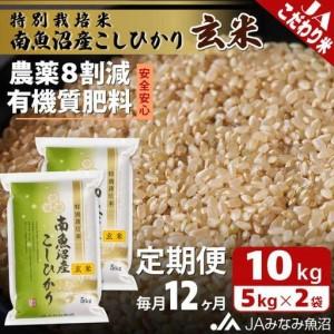 ふるさと納税 【JAみなみ魚沼定期便】特別栽培米南魚沼産こしひかり8割減玄米（10kg×全12回）農薬8割削減 有機肥料 調整玄米 精選玄米 特.. 新潟県南魚沼市