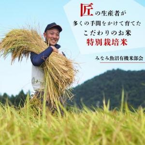 ふるさと納税 【JAみなみ魚沼定期便】特別栽培...の詳細画像2