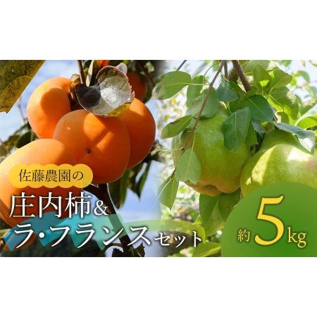 ふるさと納税 【令和6年産先行予約】 庄内柿＆ラ・フランス　2Ｌ〜3Ｌ玉 約5kg 山形県鶴岡市産　...