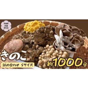 ふるさと納税 きのこ の 詰め合わせ Sサイズ 約1000g