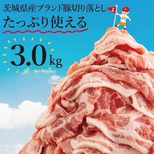ふるさと納税 【数量限定】リピーター続出！茨城県産ブランド豚切り落とし3kg (300g×10p)【...