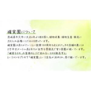 ふるさと納税 《 3ヶ月に1回お届け!年4回 ...の詳細画像1
