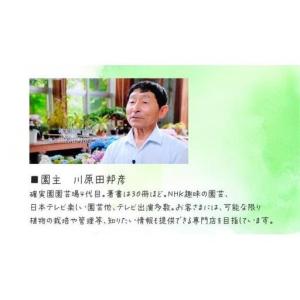 ふるさと納税 《 3ヶ月に1回お届け!年4回 ...の詳細画像2