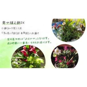 ふるさと納税 《 3ヶ月に1回お届け!年4回 ...の詳細画像3