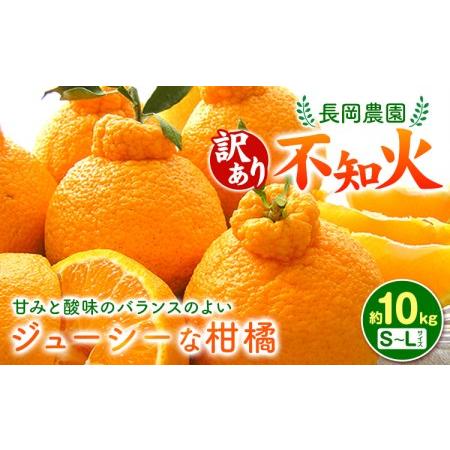 ふるさと納税 ＜先行予約＞【訳あり】不知火 ( デコポン )と同品種 約10kg 長岡農園《2025...