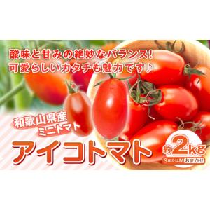 ふるさと納税  和歌山産 ミニトマト アイコトマト 約2kg SまたはMサイズ サイズおまかせ 厳選館 【配送不可地域あり】 《2025年3月上旬-4月.. 和歌山県日高川町｜furunavi