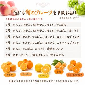 ふるさと納税 【12回】フルーツ定期便 旬のフ...の詳細画像1