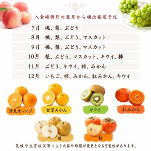 ふるさと納税 【12回】フルーツ定期便 旬のフ...の詳細画像2