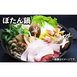 ふるさと納税 【ジビエ丼やカレーにも♪ 】猪肉...の詳細画像2