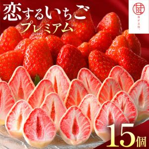 ふるさと納税 苺が主役 恋するいちごプレミアム 15個 栃木県真岡市｜ふるなび(ふるさと納税)