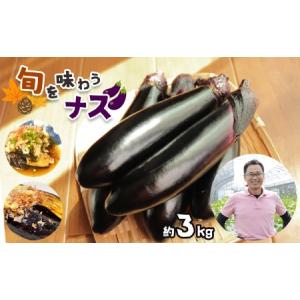 ふるさと納税 野菜 ナス 旬を味わうナス 約3kg 栃木県真岡市｜furunavi