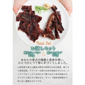 ふるさと納税 無添加 犬用 おやつ 鹿肉ジャー...の詳細画像1