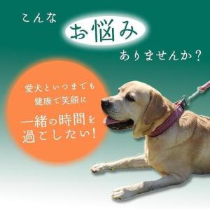 ふるさと納税 無添加 犬用 おやつ 鹿肉ジャー...の詳細画像2