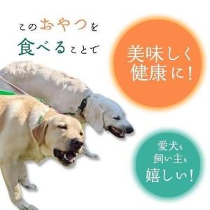ふるさと納税 無添加 犬用 おやつ 鹿肉ジャー...の詳細画像1