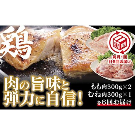 ふるさと納税 C024 【定期(6回)】秋川牧園 旨みたっぷり鶏肉セット 山口県山口市