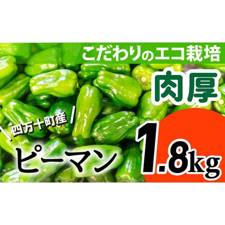 ふるさと納税 肉厚ジューシー！エコ栽培でえぐみ少ないピーマン1.8Kg ／Fms-A05 高知県四万...