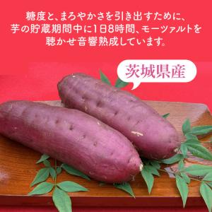 ふるさと納税 テレビでも紹介されました!道の駅...の詳細画像1