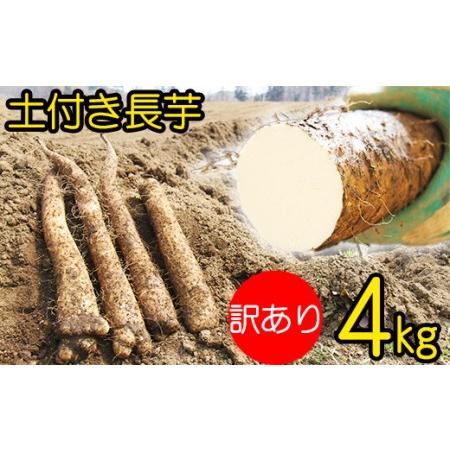 ふるさと納税 変色しない！ 訳あり 土付き 長芋 4kg 【マル庄】 ／ 長いも 長イモ ながいも ...
