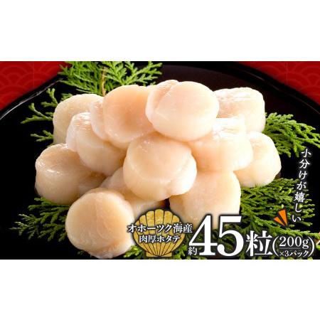 ふるさと納税 ほたて 冷凍(15粒前後)200ｇ×3パック 小分け お取り寄せ 刺身 《横田水産》 ...