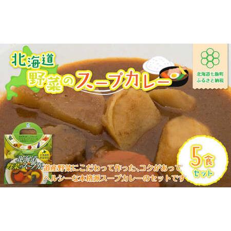 ふるさと納税 【北海道野菜のスープカレー】5食セット 北海道産野菜使用 北海道七飯町