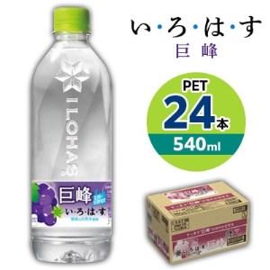 ふるさと納税 い・ろ・は・す　巨峰　540mlPET×24本【1367673】 富山県砺波市