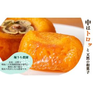 ふるさと納税 【堀うち農園】あんぽ柿 訳あり ...の詳細画像1