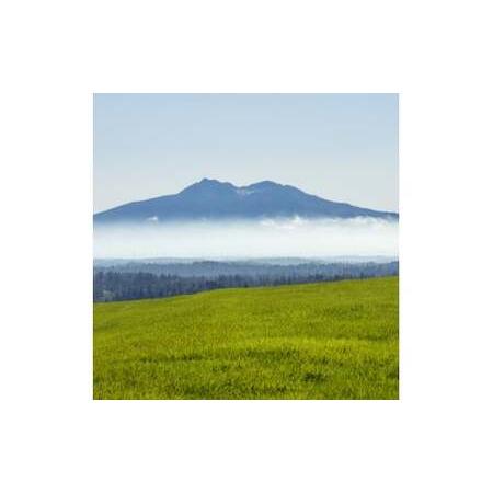ふるさと納税 【北海道大空町】旅行割引クーポン券15,000円分 【 ふるさと納税 人気 おすすめ ...