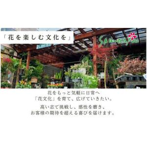 ふるさと納税 空間を彩る 季節のフラワーアレン...の詳細画像4