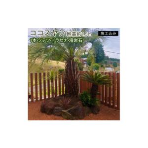 ふるさと納税 【伝票なし】ココスヤシ　幹高約1.5m１本・ソテツ・ドラセナ・溶岩石【施工込み】【ヤシの木 ヤシ リゾート ガーデン 自宅 別荘 南.. 茨城県水戸市