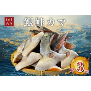 ふるさと納税 人気海鮮お礼品 銀鮭カマ 約3kg 千葉県いすみ市