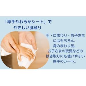 ふるさと納税 ウェットティッシュ シルコット ...の詳細画像2