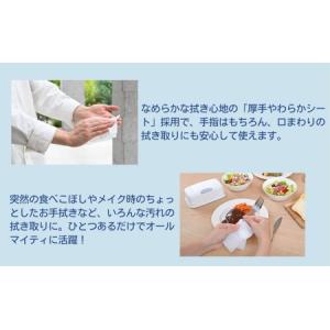 ふるさと納税 ウェットティッシュ シルコット ...の詳細画像4