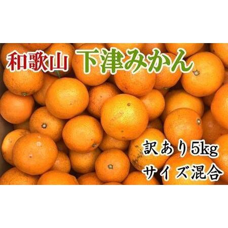 ふるさと納税 【訳あり】和歌山下津みかん約5kgご家庭用向け(サイズ混合) ★2024年11月中旬頃...