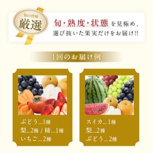 ふるさと納税 【定期便】 旬のフルーツはこれだ...の詳細画像1