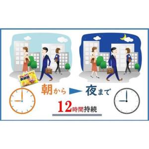 ふるさと納税 使い捨て「貼る長時間カイロ」ミニ...の詳細画像2