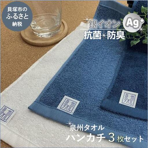 ふるさと納税 【スピード発送】＜大阪泉州タオル＞Twinkle 銀の抗菌タオルハンカチ３枚セット 大...