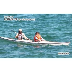 ふるさと納税 T-202 シーカヤック キット...の詳細画像2
