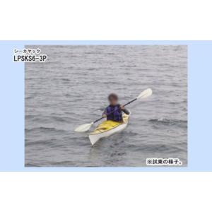 ふるさと納税 R-010 レーザーパズル シー...の詳細画像2