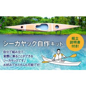 ふるさと納税 Q-002 シーカヤックキット(...の詳細画像4