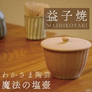 ふるさと納税 益子町 【益子焼】 塩壺・ソルトポット【大】魔法のよう