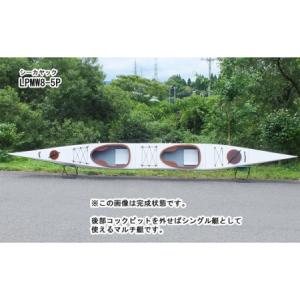 ふるさと納税 T-203 シーカヤック キット...の詳細画像1
