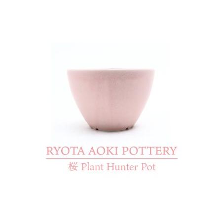 ふるさと納税 【美濃焼】桜 Plant Hunter Pot【RYOTA AOKI POTTERY/...