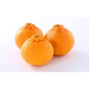 ふるさと納税 【年4回定期便】くまもと旬のフルーツ定期便 すいか 梨 柿 デコポン 熊本県
