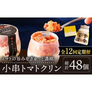 ふるさと納税 【12回定期便】アイス シャーベット 小串トマトクリン 計48個[OBJ007] アイス シャーベット 長崎県川棚町