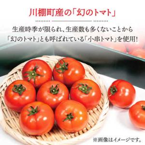 ふるさと納税 【12回定期便】アイス シャーベ...の詳細画像2