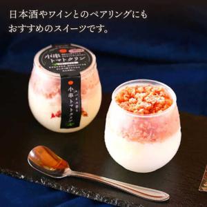 ふるさと納税 【12回定期便】アイス シャーベ...の詳細画像4