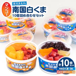 ふるさと納税 アイス 白くま 詰合せ 10個 セット 【セイカ食品 南国 白くま 南国 白くま マンゴー】 K051-001 冷凍 鹿児島県鹿児島市｜ふるなび(ふるさと納税)