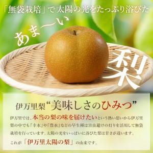 ふるさと納税 【令和8年産先行予約】伊万里梨 ...の詳細画像3
